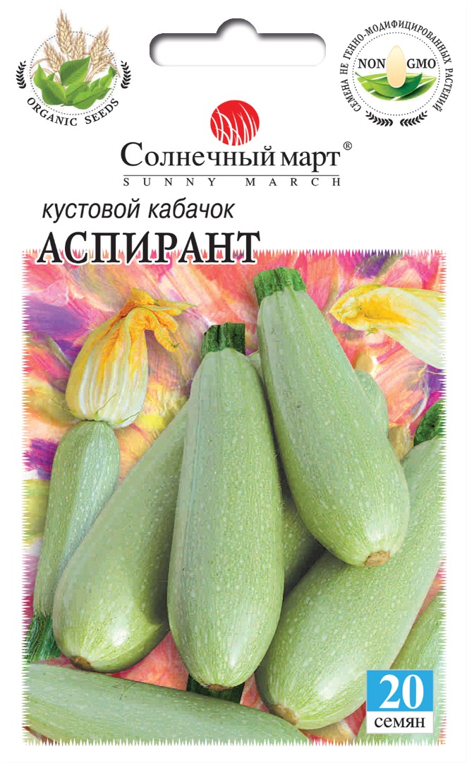 Кабачок Аспирант